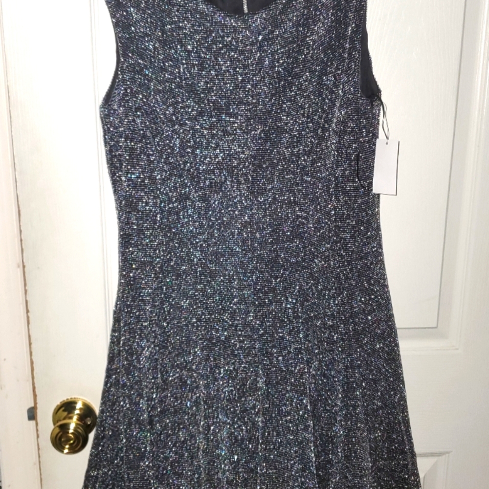 Women's Glitter (Black & Silver) Covington Dress